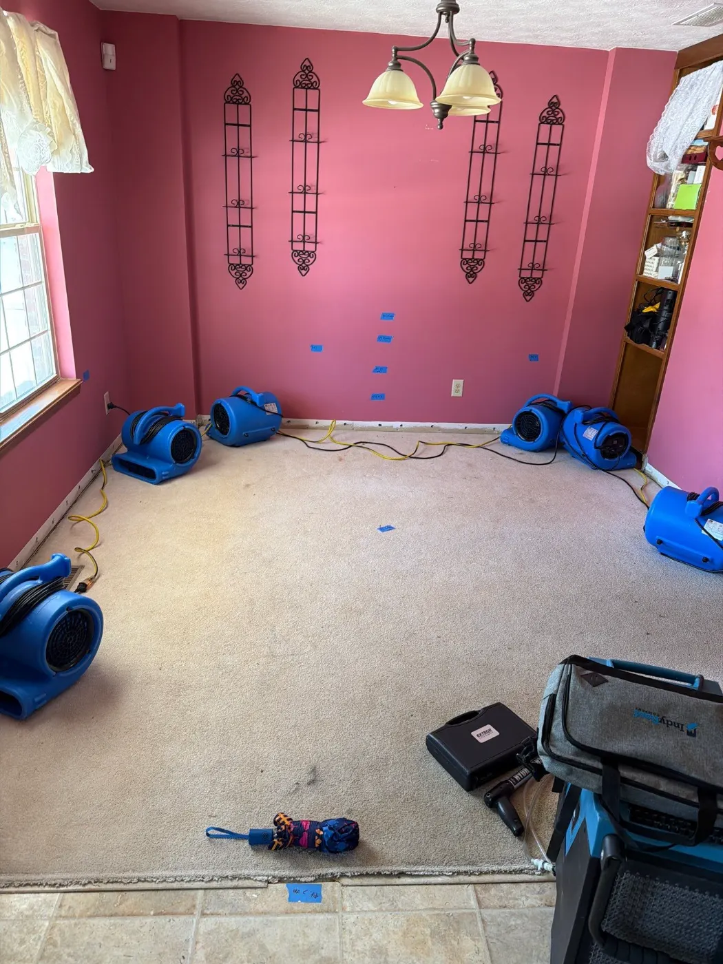 Mold After Water Damage in Holliday Park: Removal Steps